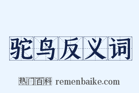 驼鸟反义词是什么意思的图片